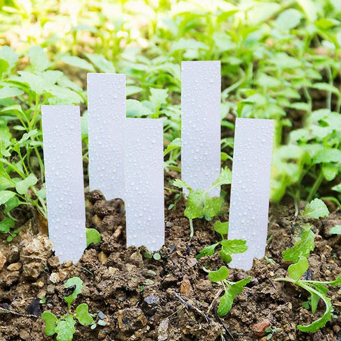Name pin - Plant